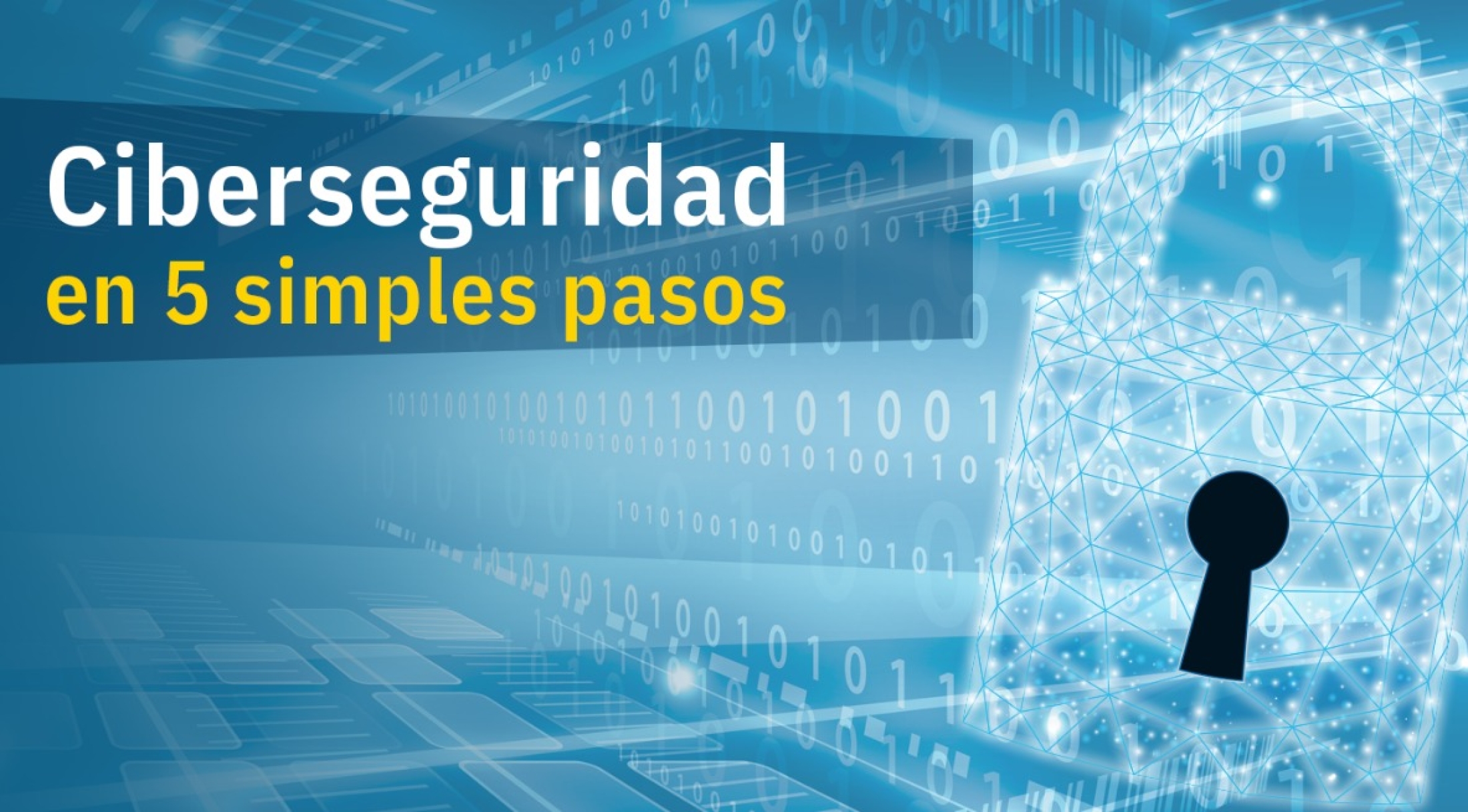 Ciberseguridad En 5 Pasos Netglobalis 3371